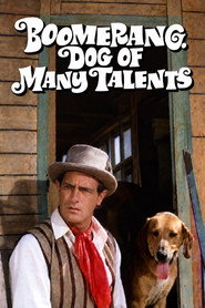 Boomerang, Dog of Many Talents