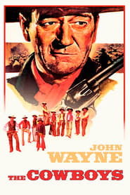 Poster van The Cowboys