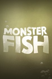Season 6