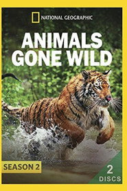 Animals Gone Wild постер