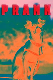 Prank