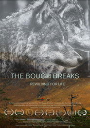 The Bough Breaks