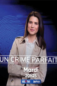 Un crime parfait ? (2015)