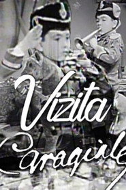 Vizita