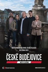 Místo zločinu České Budějovice poster