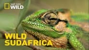 Wild South Africa en streaming