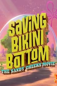 Saving Bikini Bottom: The Sandy Cheeks Movie постер