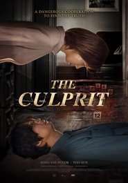 The Culprit (2019) HD