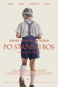 Po strništi bos (2017)