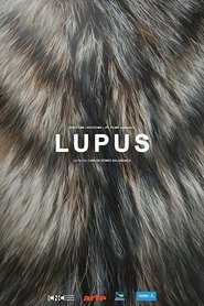 Lupus streaming