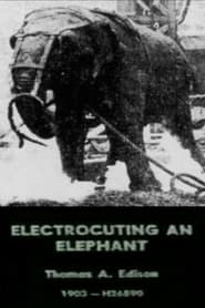 Poster Electrocuting an Elephant