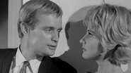 The Giuoco Piano Affair