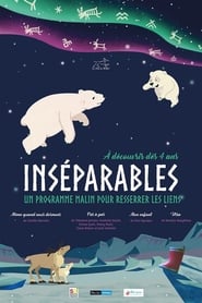 Inséparables streaming