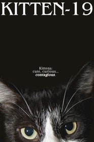 Kitten-19