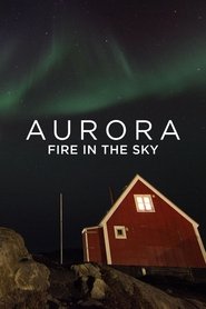 Poster Aurora - Fire in the Sky 2012