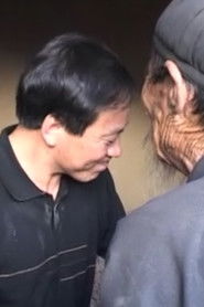 一个记者的24小时