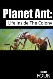 Planet Ant: Life Inside the Colony постер