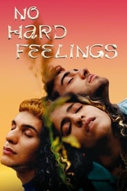 Poster No Hard Feelings 2020