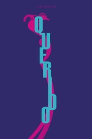 Poster Querido 2014