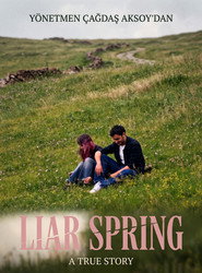 Poster for Liar Spring