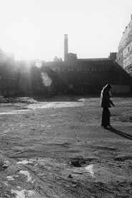 Poster Berlin - From Dawn to Dusk 1981