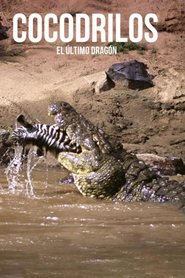 Poster Crocodiles, the last dragon 2010