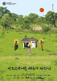 Poster 아프리카에도 배추가 자라나?