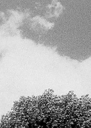 Poster Tree & Cloud 1998