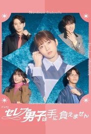 Sharehouse Cinderella Sharehouse Cinderella