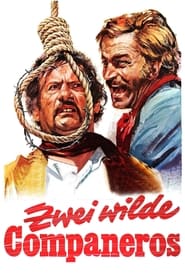 Poster Zwei wilde Companeros