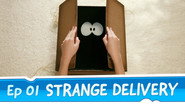Strange Delivery