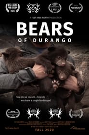 Poster Bears of Durango