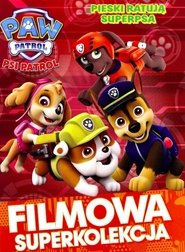 Poster Paw Patrol. Dogs save the Super dog 1970