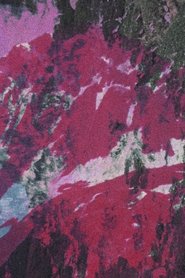 Mandá in lunga (2025)