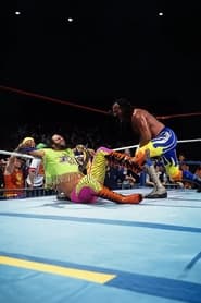 Poster WWE Rivals: Jake "The Snake" Roberts vs. "Macho Man" Randy Savage