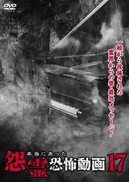 本当にあった怨霊恐怖動画 17) 本当にあった怨霊恐怖動画 17 (2016)