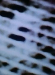 Poster The Space in Between (Airport Architecture) 2001