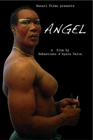 Poster Angel 2011