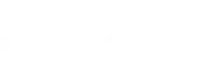 Furious Logo