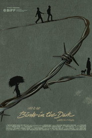 Birds in the Dark