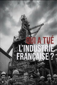 Qui a tué l'industrie française ?