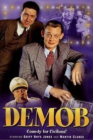 Poster Demob 1993