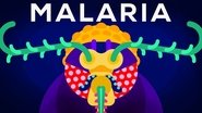 Genetic Engineering and Diseases — Gene Drive & Malaria
