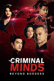 Criminal Minds: Beyond Borders poster