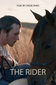 The Rider 2017 Stream Deutsch Kostenlos