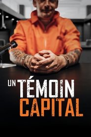 Affiche de Un témoin capital
