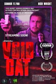 Poster The Void Cat