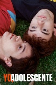 Poster Memories of a Teenager 2019