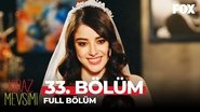 Episodio 33