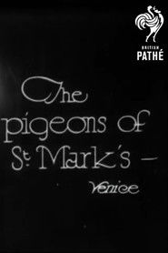 The Pigeons of St Mark's